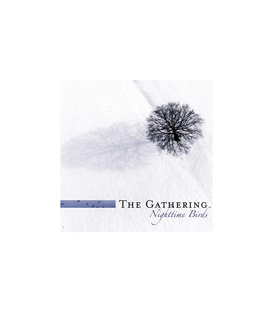CD Gathering "Nighttime Birds"