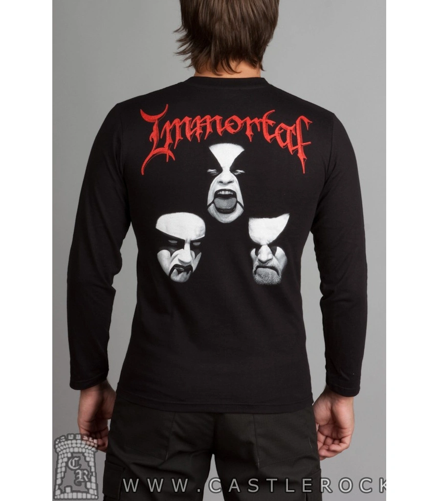 футболка immortal "damned in black" д/р