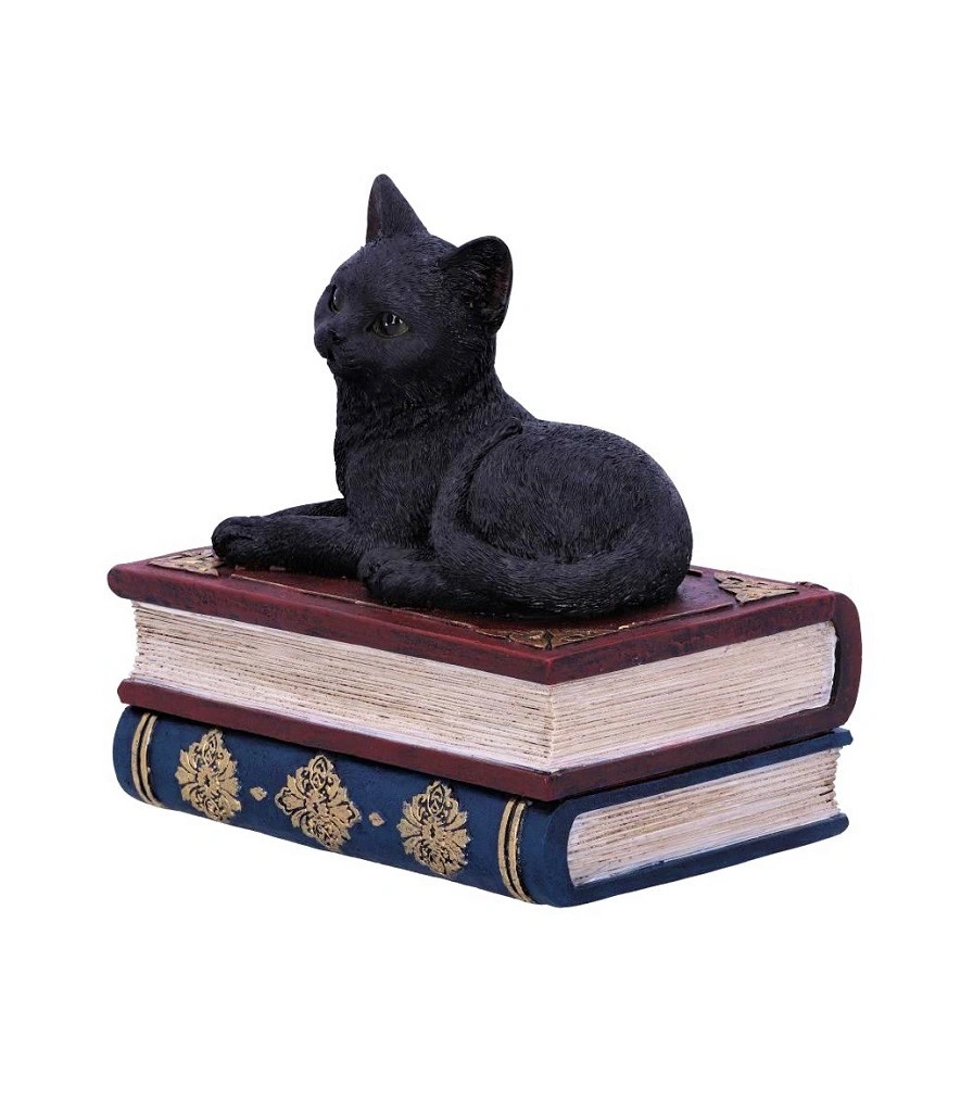 шкатулка кот на книгах