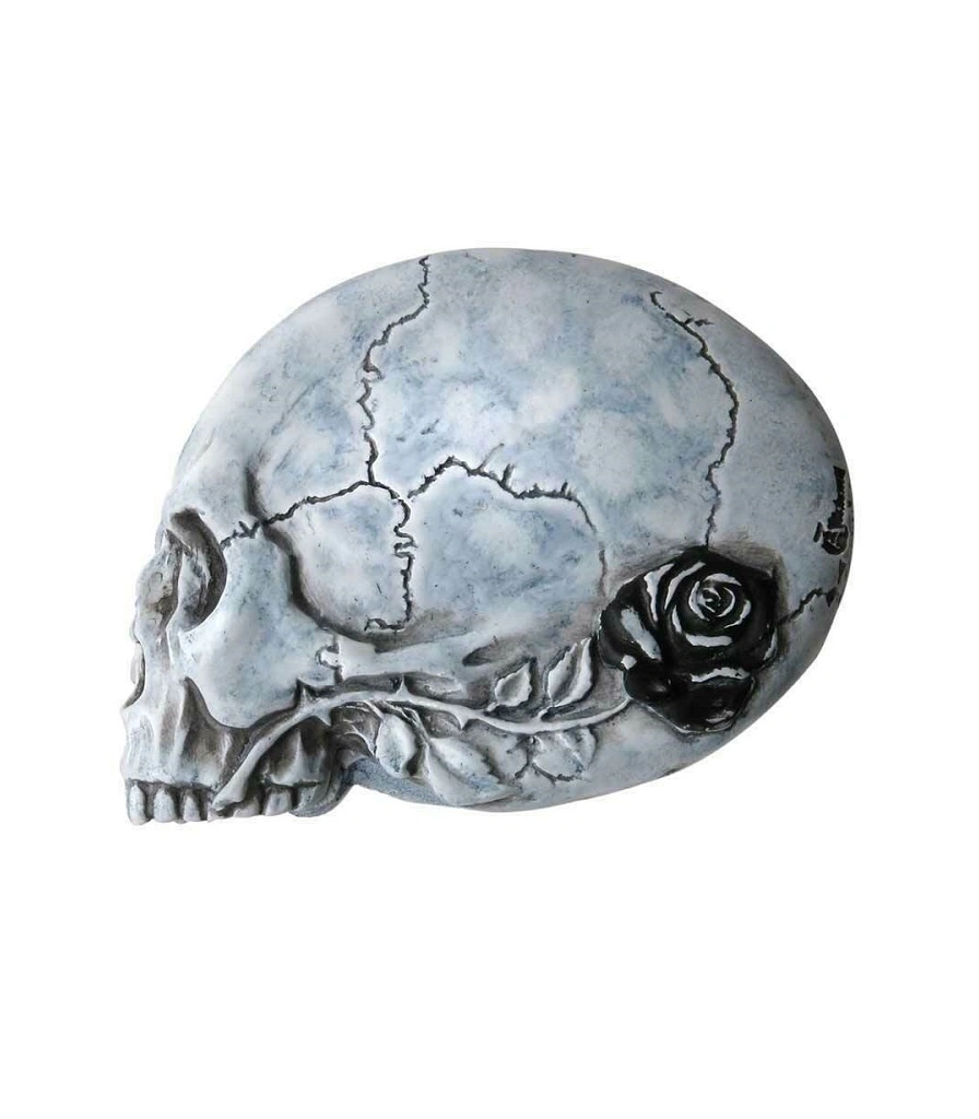 зеркало alchemy gothic (алхимия готик) nevermore (ворон)