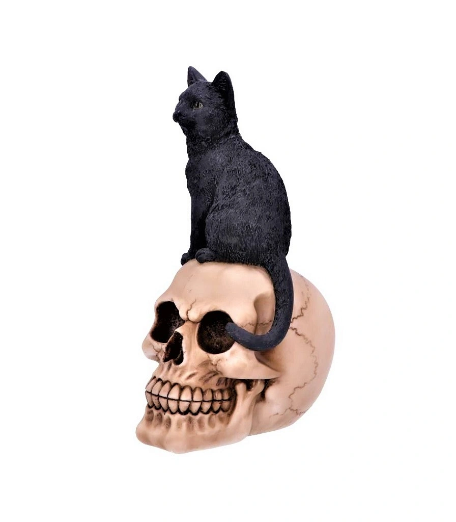 статуэтка кот на черепе