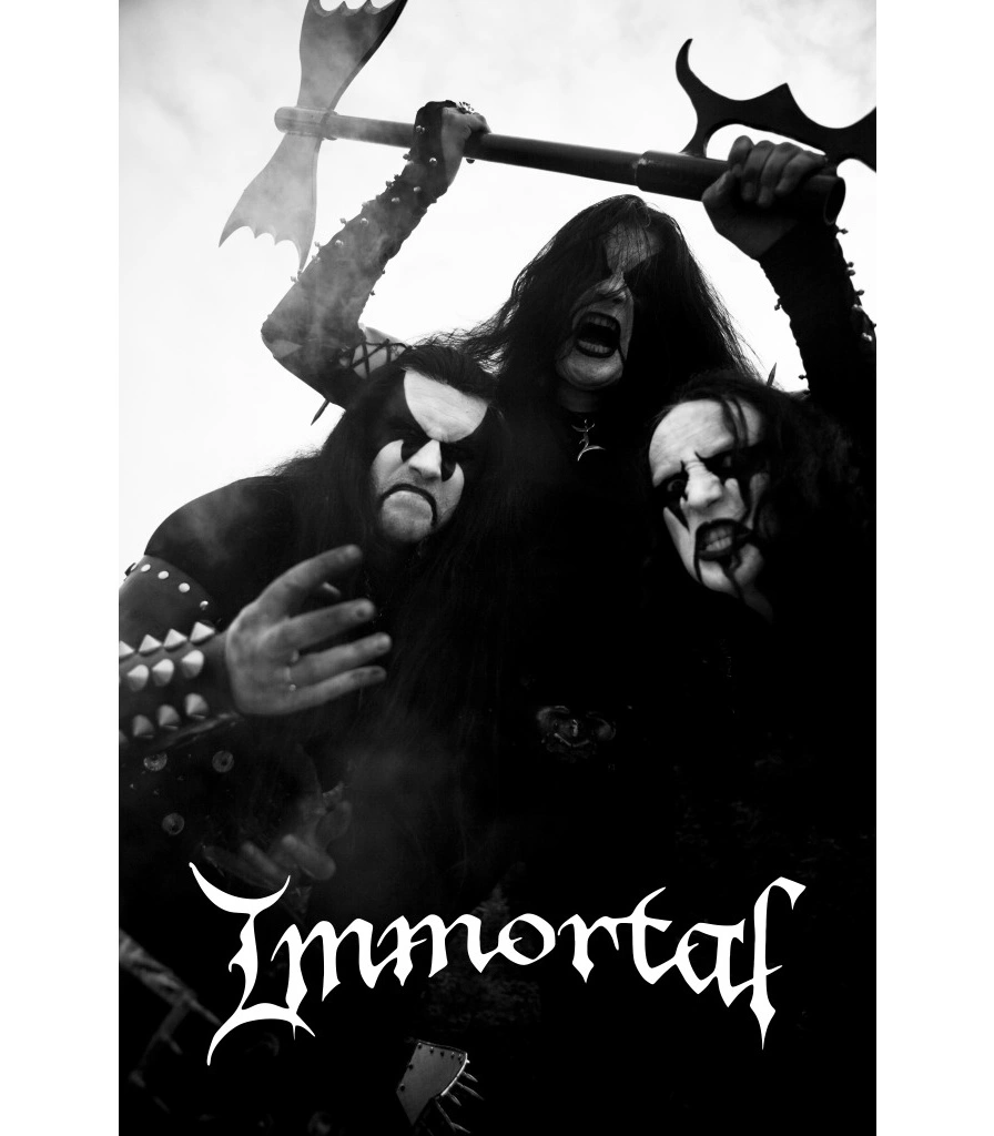 постер тканевый immortal (вертикальный)