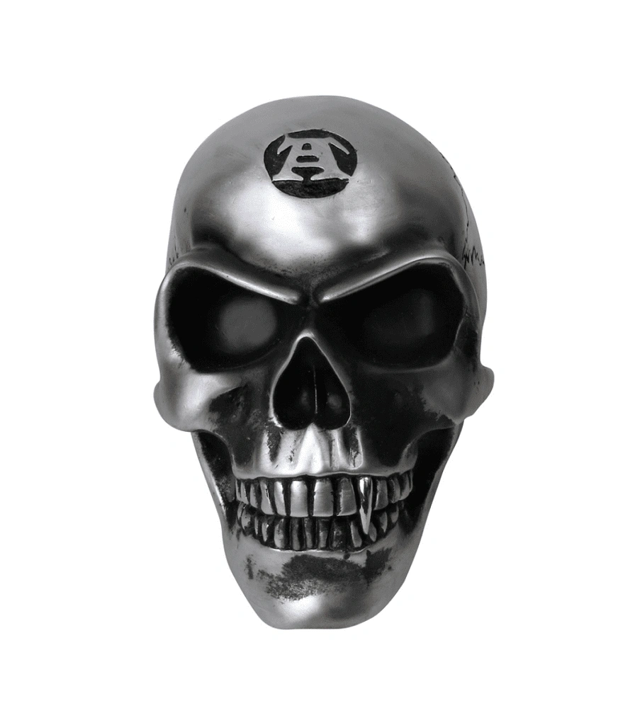 статуэтка череп алхимический (металлик)