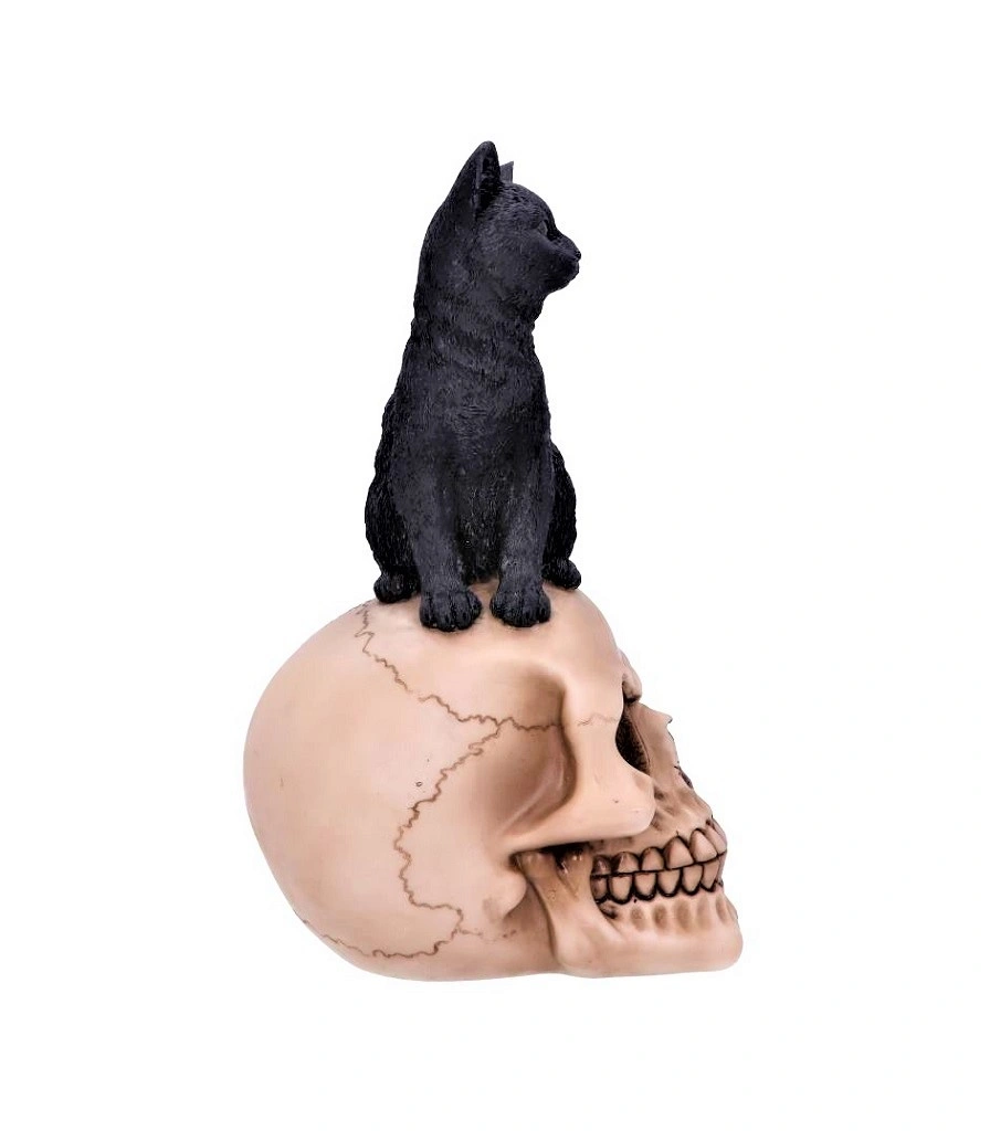 статуэтка кот на черепе