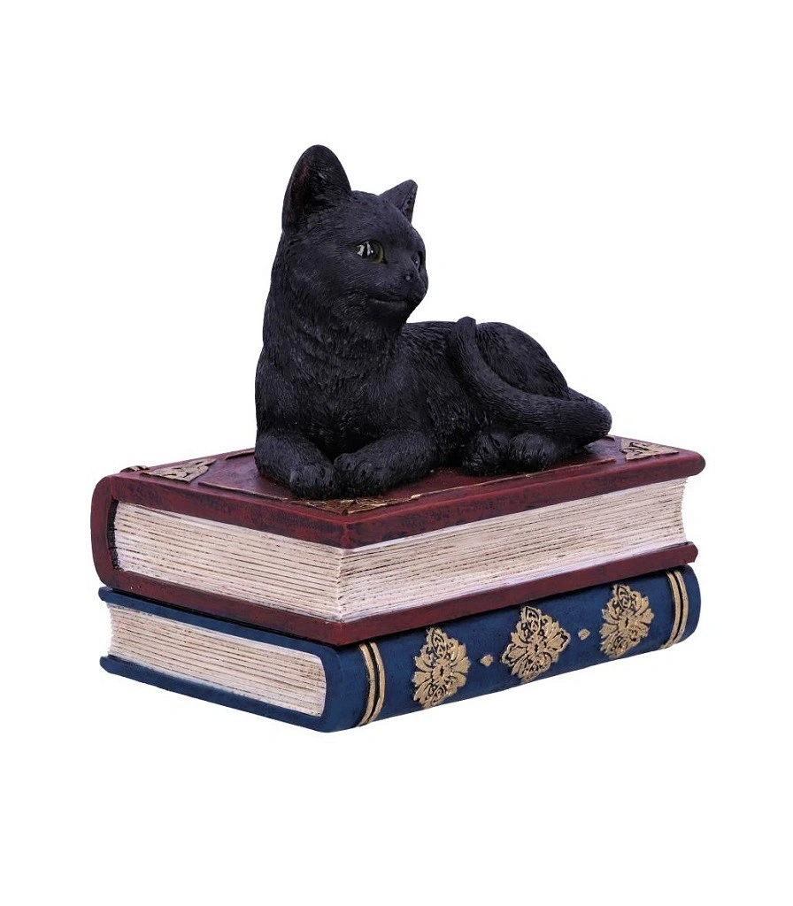 шкатулка кот на книгах