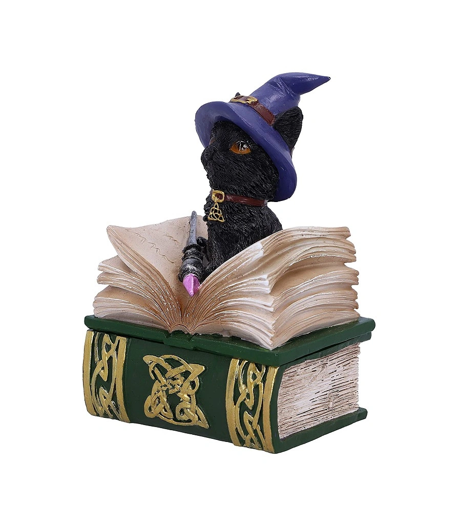 шкатулка котенок на книгах