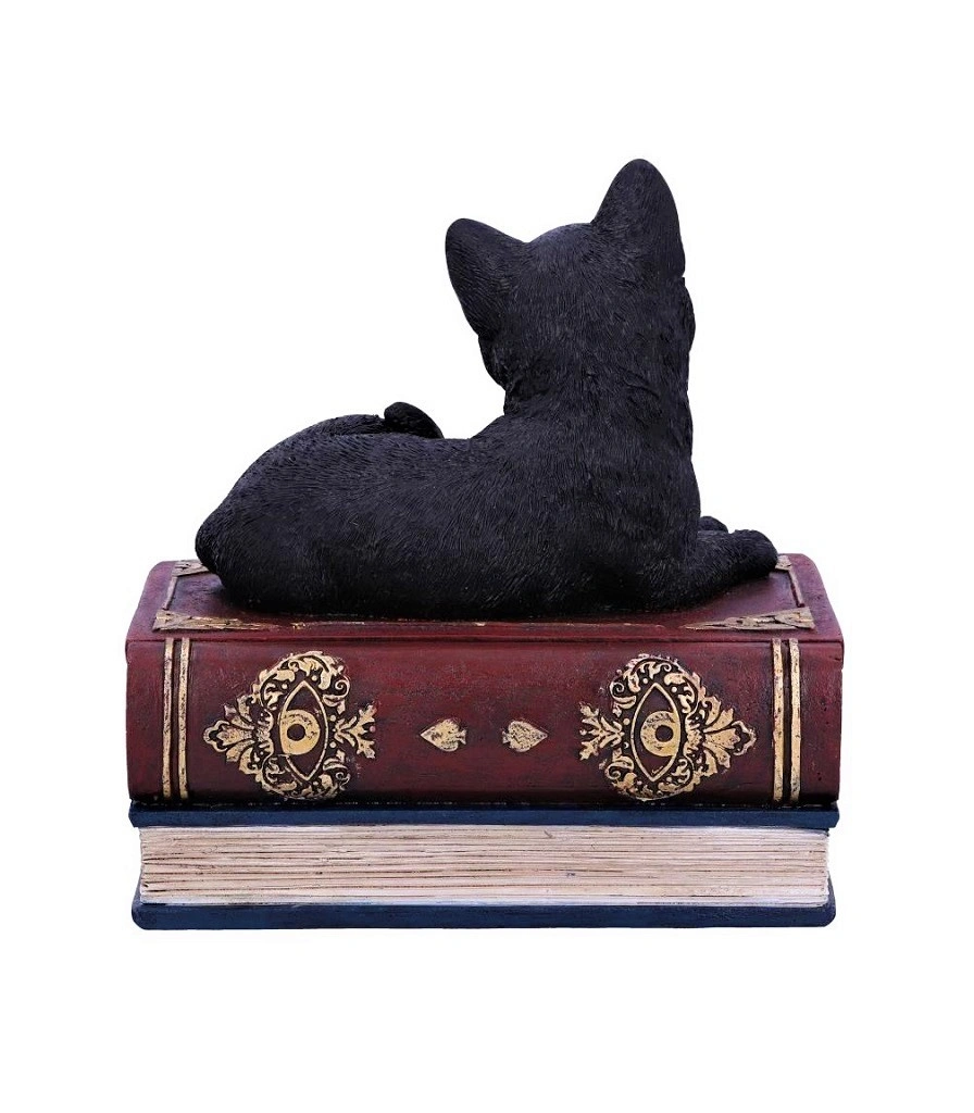 шкатулка кот на книгах