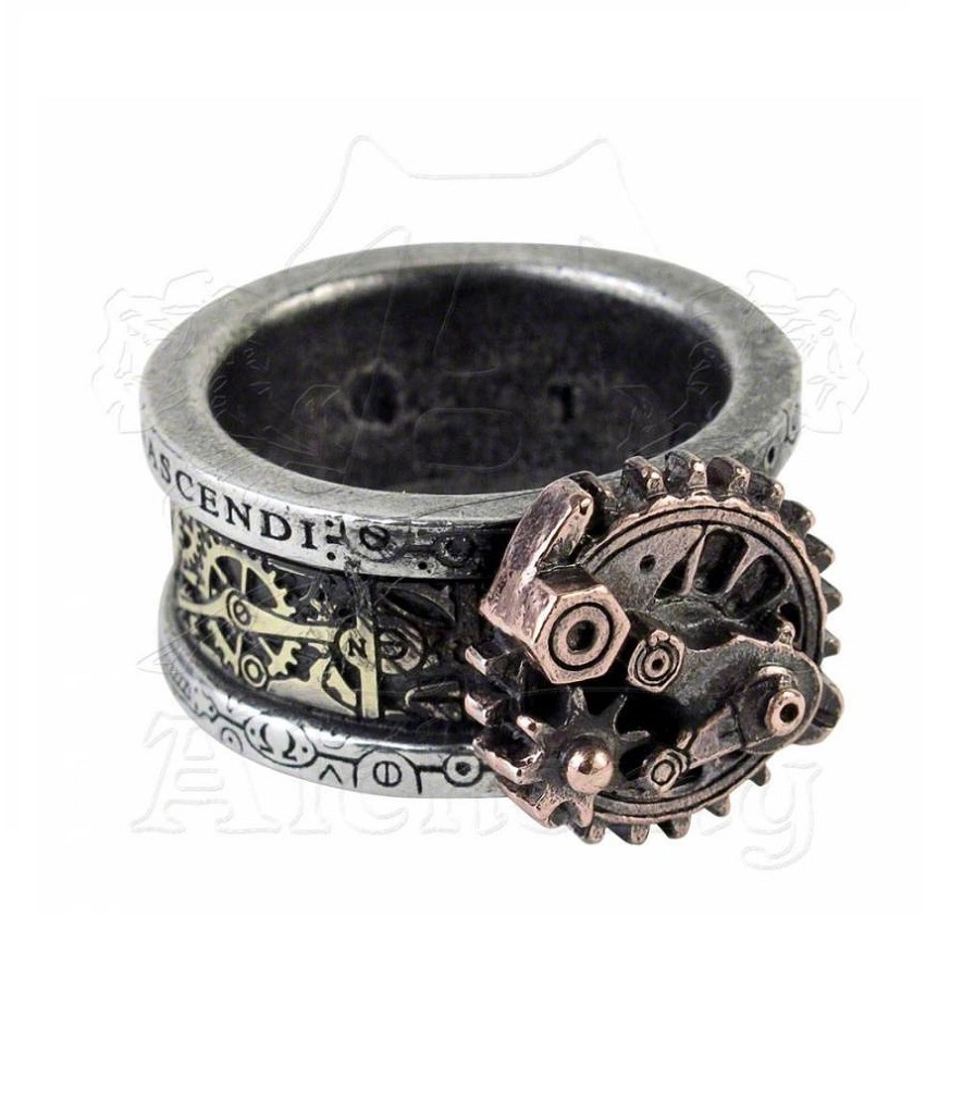 кольцо alchemy gothic (алхимия готик) r200 quanta mechanica cosmonatallogy