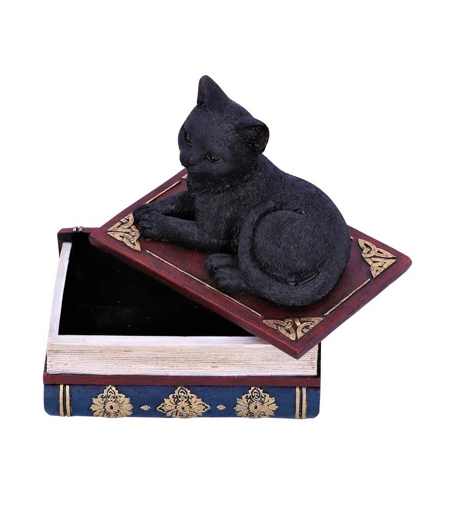 шкатулка кот на книгах