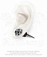 серьга alchemy gothic (алхимия готик) e323 tomb skull spike