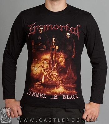 футболка immortal "damned in black" д/р