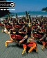 CD Prodigy "The Fat Of The Land"