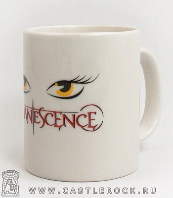 кружка evanescence