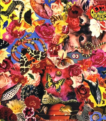 CD Егор и Опизденевшие "Прыг-Скок"