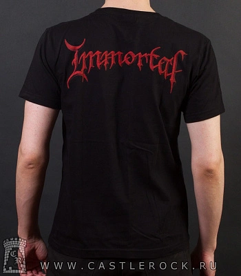 футболка immortal "damned in black"
