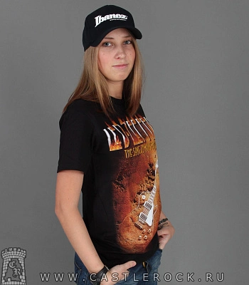 футболка led zeppelin (гитара)