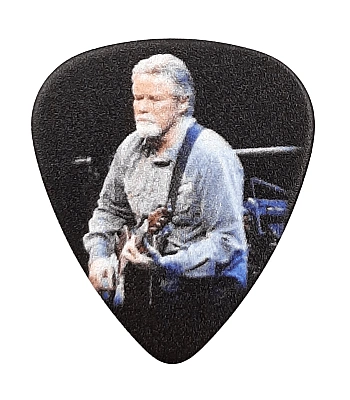медиатор eagles don henley