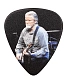 медиатор eagles don henley