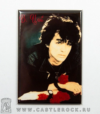 магнит прямоугольный кино в. цой (фото)