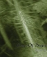 CD Shape of Despair "Shades Of…"
