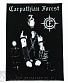 нашивка на спину carpathian forest "we're going to hell for this-over a decade of perversions"
