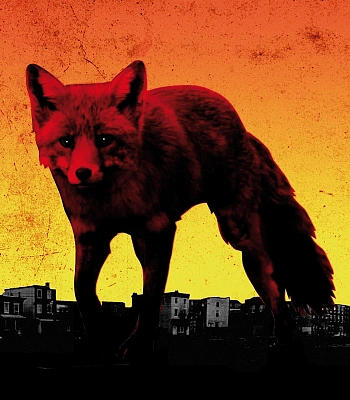 CD Prodigy "The Day Is My Enemy"