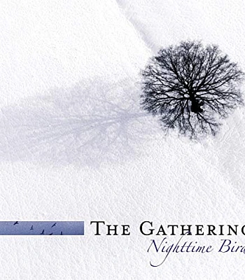 CD Gathering "Nighttime Birds"