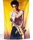 постер тканевый sex pistols sid vicious