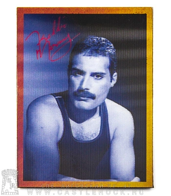 магнит прямоугольный 3d queen freddie mercury (ч/б, голограмма)