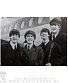 плакат beatles (группа ч/б)