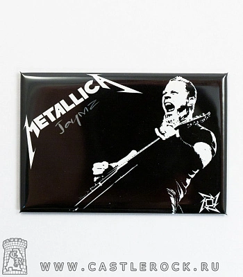 магнит прямоугольный metallica james hetfield