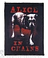 нашивка alice in chains