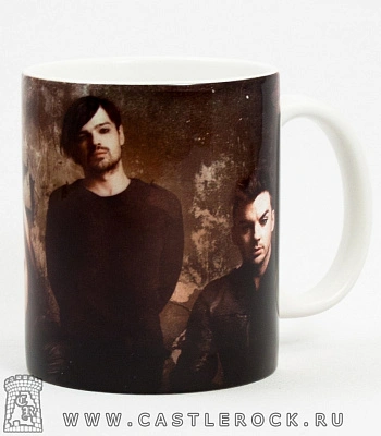 кружка 30 seconds to mars (группа у стены)