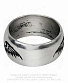 кольцо alchemy gothic (алхимия готик) r207 desolation