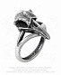 кольцо alchemy gothic (алхимия готик) r220 rabeschadel kleiner