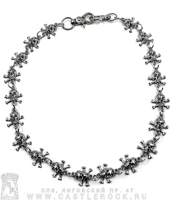 цепь с карабином черепа и кости