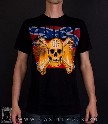 футболка pantera (череп на фоне флага)