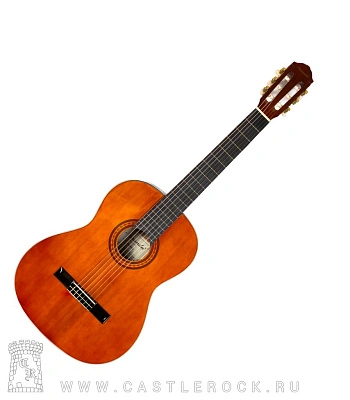 гитара классическая naranda cg220wa