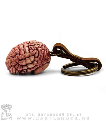 брелок мозг (детализированный)