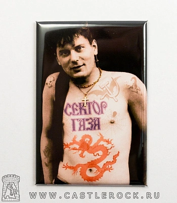 магнит прямоугольный сектор газа юрий клинских (хой)