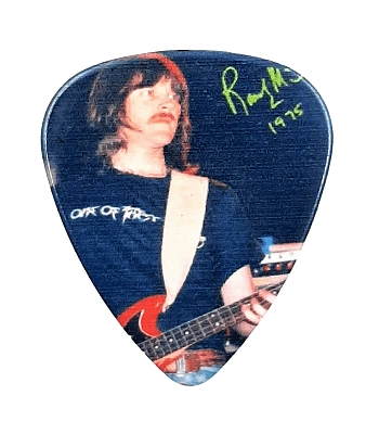 медиатор eagles randy meisner
