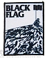 нашивка black flag "six pack"
