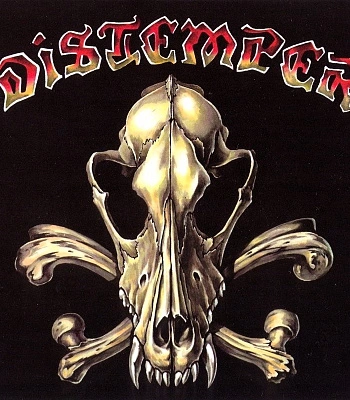 CD Distemper "Все Или Ничего"