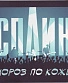 CD Сплин "Мороз По Коже"