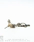серьга alchemy gothic (алхимия готик) ulfe2 cursed dangler