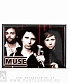 магнит прямоугольный muse (группа, микрофон)