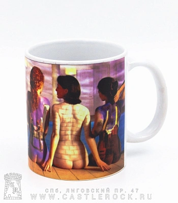 кружка pink floyd (девушки)