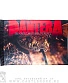 флаг pantera "the great southern trendkill"