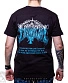 футболка immortal "blizzard beasts"