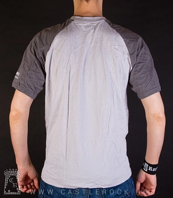 футболка ддт (группа ч/б, серая)